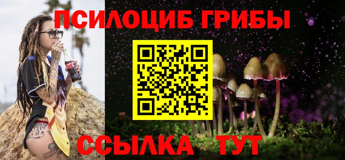 Псилоцибиновые грибы Psilocybe Севастополь