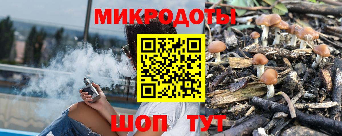 Псилоцибиновые грибы мицелий  Вход с VPN  Севастополь 